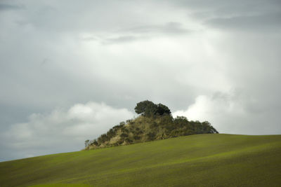 Scenic view of grassy field against sky