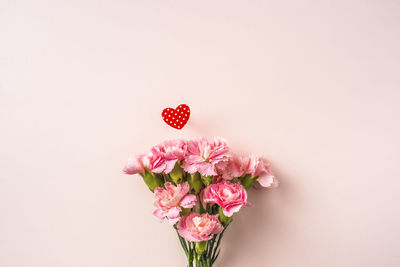 Close-up of pink roses against white background