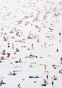 Flock of birds flying over beach