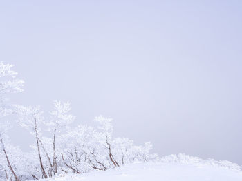 Snow covered land against clear sky