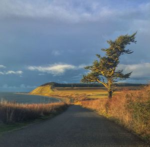 Dirt road passing through field