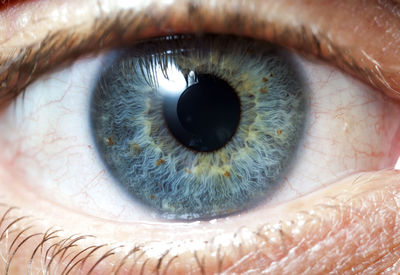 Close-up of human eye