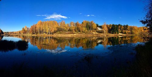 Scenic view of lake by trees against blue sky