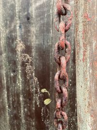 Close-up of rusty chain hanging on wall
