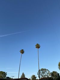 Low angle view of coconut palm trees against clear blue sky