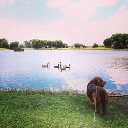 Scenic view of lake against sky