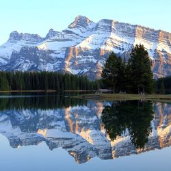 Reflection of trees in lake