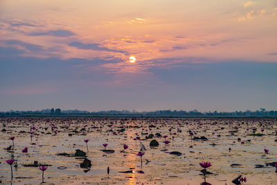 Lake against sky during sunset