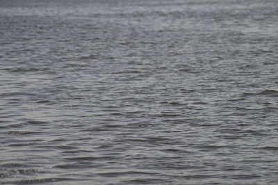 Full frame shot of rippled water