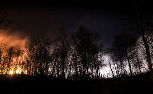 Low angle view of silhouette trees against sky at night