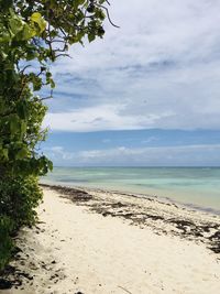 Scenic view of beach against sky