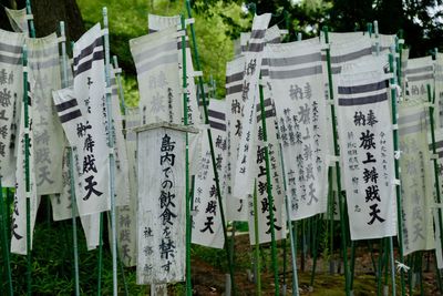 Japanese words hanging on clothesline