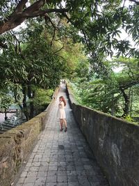 Rear view of woman walking on footpath amidst plants