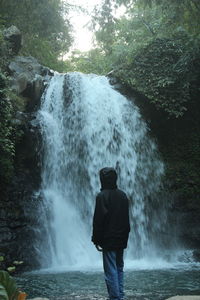 Rear view of man standing against waterfall in forest