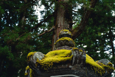 Low angle view of statue against trees