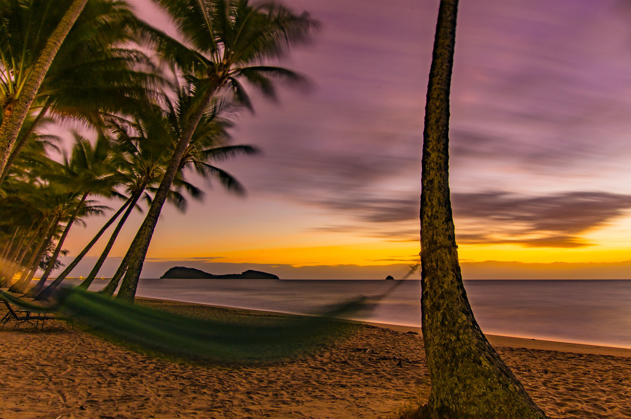 SILHOUETTE OF PALM TREES ON BEACH