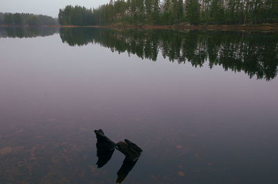 Reflection of trees in lake against sky