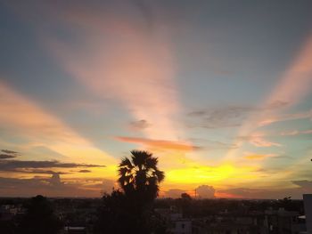 Silhouette trees and buildings against sky during sunset