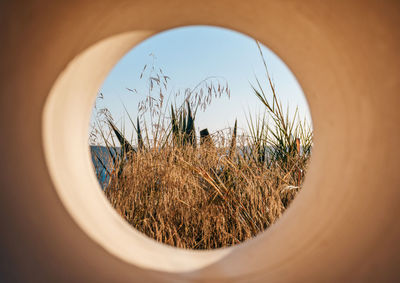 Circular window in stone wall looking at plants and sea