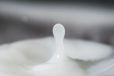 Close-up of water splashing in plate