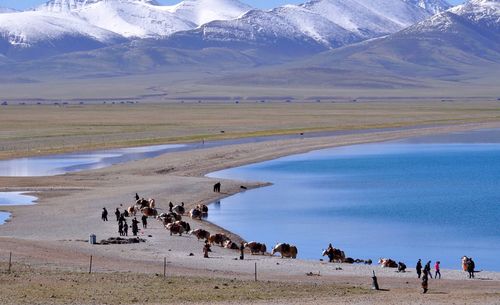 Panoramic view of people on landscape against sky
