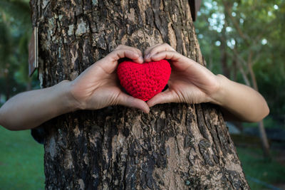 Cropped hands of person holding heart shape pillow against tree