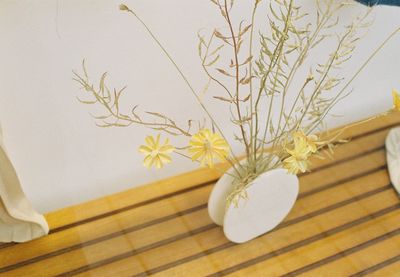 High angle view of white flowers on table at home