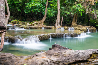 Scenic view of waterfall in forest