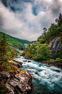 Scenic view of river amidst trees against sky