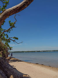 Scenic view of sea against clear blue sky