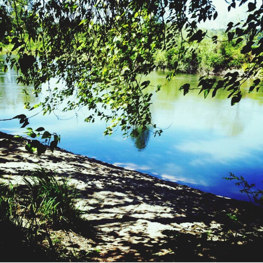 tree, tranquility, tranquil scene, water, scenics, beauty in nature, sky, lake, nature, reflection, branch, idyllic, growth, calm, cloud - sky, non-urban scene, silhouette, mountain, outdoors, cloud