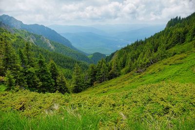 Scenic view of green landscape and mountains against sky