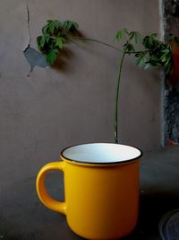 Close-up of coffee cup on table