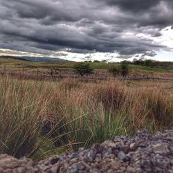 Scenic view of landscape against storm clouds