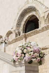 Flowers on plant against wall of building