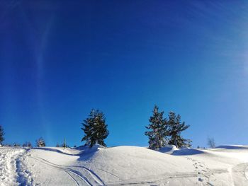 Trees on snow covered landscape against clear blue sky