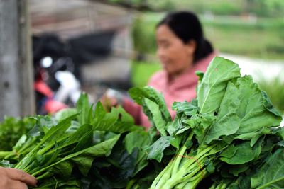 Close-up of woman in market