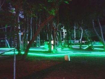 Illuminated park by trees at night