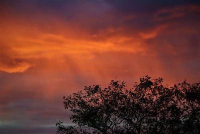 Low angle view of silhouette tree against dramatic sky