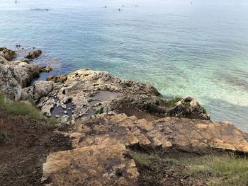 High angle view of rocks on beach