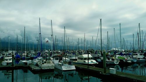 Sailboats moored in harbor