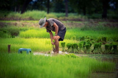 Side view of man working on field