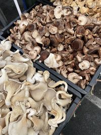 large group of objects