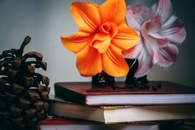 Close-up of flower pot on table