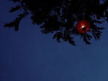 Low angle view of red flowering plant against blue sky
