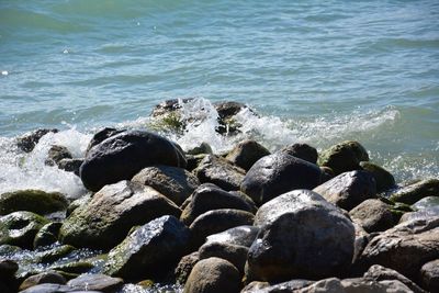 Rocks on sea shore