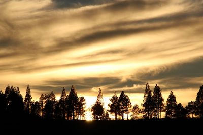 Silhouette trees against sky during sunset