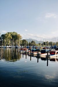 Boats moored in harbor against sky