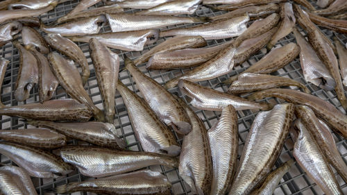 Full frame shot of fish for sale in market