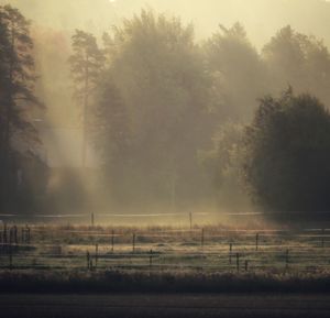 Scenic view of field against sky during foggy weather